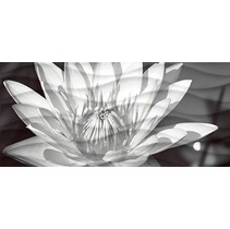 Cersanit Wave Blackflowers (WA2G441D)