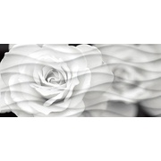 Декор Cersanit Wave Blackflowers (WA2G442D)