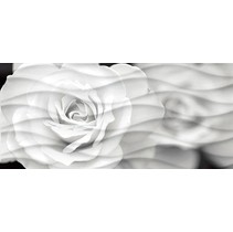 Cersanit Wave Blackflowers (WA2G442D)