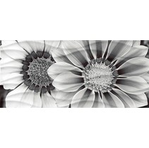 Cersanit Wave Blackflowers (WA2G443D)