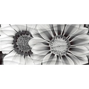 Декор Cersanit Wave Blackflowers (WA2G443D)