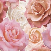 Cersanit Wave Roses Напольный (WA6E452DT)