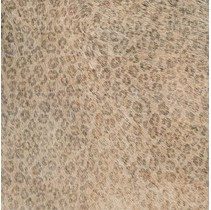 Cifre Animals Leopard