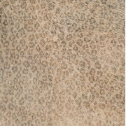 Напольная плитка Cifre Animals Leopard