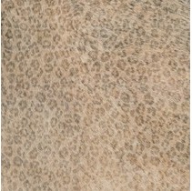 Cifre Cavallino Leopard