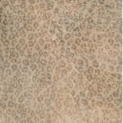 Напольная плитка Cifre Cavallino Leopard