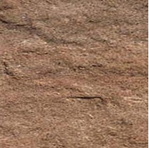 Coem Iron Bronzo