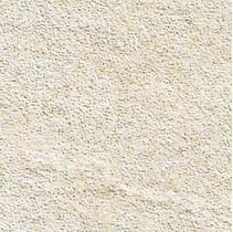 Coem Quarzite White