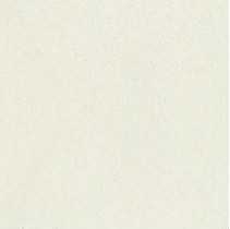 Coem Tinte Unite 01 Cold White