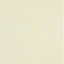 Coem Tinte Unite 11 Warm White