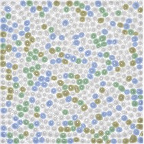 Colori Viva Crystal CV10008