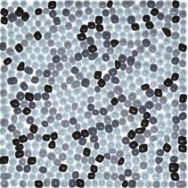Colori Viva Crystal CV10009