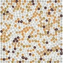 Colori Viva Crystal CV10010