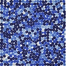 Colori Viva Crystal CV10012