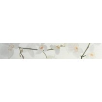 Colorker Nova Cenefa Orquidea