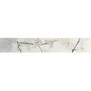 Декор Colorker Nova Cenefa Orquidea