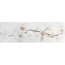 Colorker Nova Decorado Orquidea