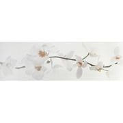 Декор Colorker Nova Decorado Orquidea