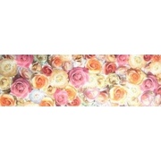 Декор Colorker Nova Decorado Rosas