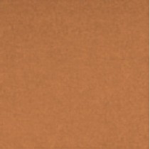 Colorker Nova Noah Mandarina