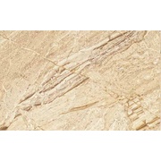 Настенная плитка Cristacer Claudia Beige