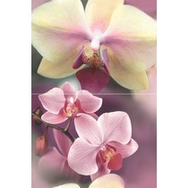 Дельта Керамика Blossom P2D183 (из 2-х пл.)