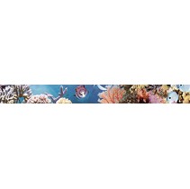 Дельта Керамика Ocean 20x50 Reef 1