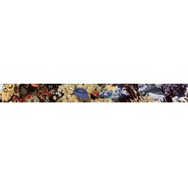 Дельта Керамика Ocean 20x50 Reef 2