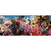 Декор Ceradim Ocean Reef 1