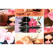 Настенная плитка Дельта Керамика Romance Romance Панно P4D184 60х40 (из 4-х пл.)