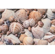 Дельта Керамика Seashore D1D173