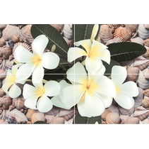 Дельта Керамика Seashore P4D173 60х40 (из 4-х пл.)