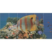 Декор El Molino Agata-Sunset Décor 1 Aquarium (большая рыбка)