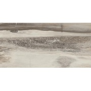 Напольная плитка Emil ceramica Petrified Tree Lappato Grey Panther Rett 10,5