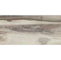 Emil ceramica Petrified Tree Lappato Grey Panther Rett 10,5
