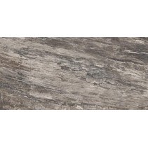 Emil ceramica Petrified Tree Naturale Grey Bark Rett 10,5