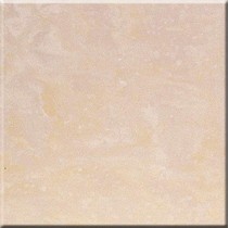 Estima Premier PM 01