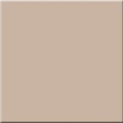 Напольная плитка Estima Rainbow RW 041 Неполир 60