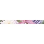 Бордюр Europa Ceramica Fantasy Bouquet Cen Fantasy Bouquet
