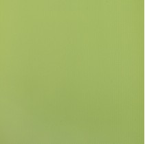 Europa Ceramica Raduga Raduga Pistacho LS Плитка напольная 33,3x33,3
