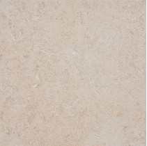 Exagres Projectker Alpes White 2