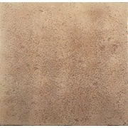 Настенная плитка Exagres Vega Camel Vega Camel 2
