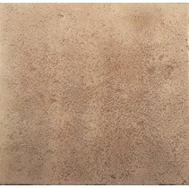 Exagres Vega Camel Vega Camel 2