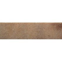 Exagres Vega Camel Rodapie