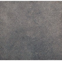 Exagres Vega Gris фронтальная Ant
