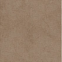 Expotile Timor-Avari Marron Dragon
