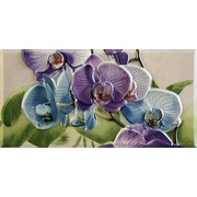 Бордюр Fabresa Orquideas Cenefa-1 Malva