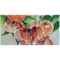 Fabresa Orquideas Cenefa-1 Naranja