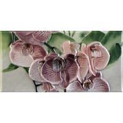 Бордюр Fabresa Orquideas Cenefa-1 Rosa