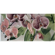 Бордюр Fabresa Orquideas Cenefa-3 Rosa